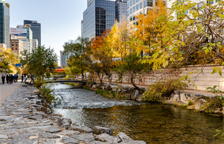 청계천 가을 산책로