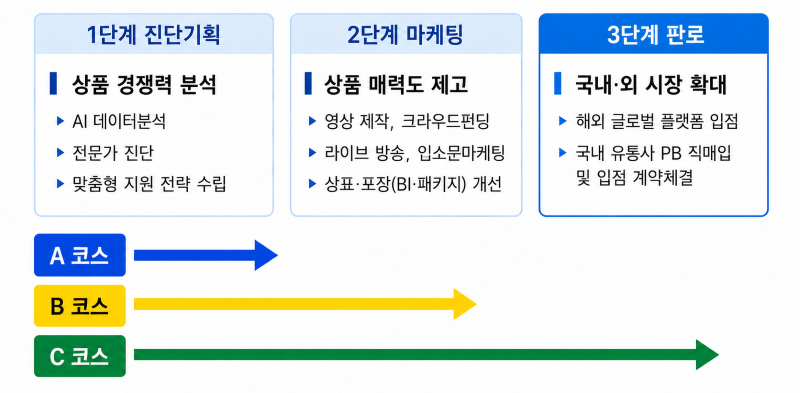역량 강화 프로그램 단계별 주요 지원내용