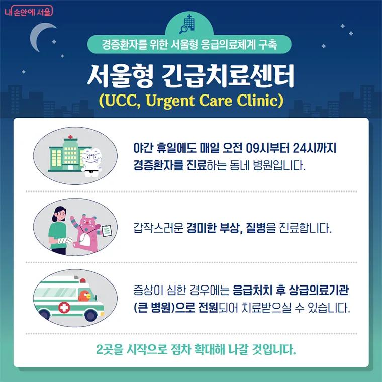 서울형 긴급치료센터 개요